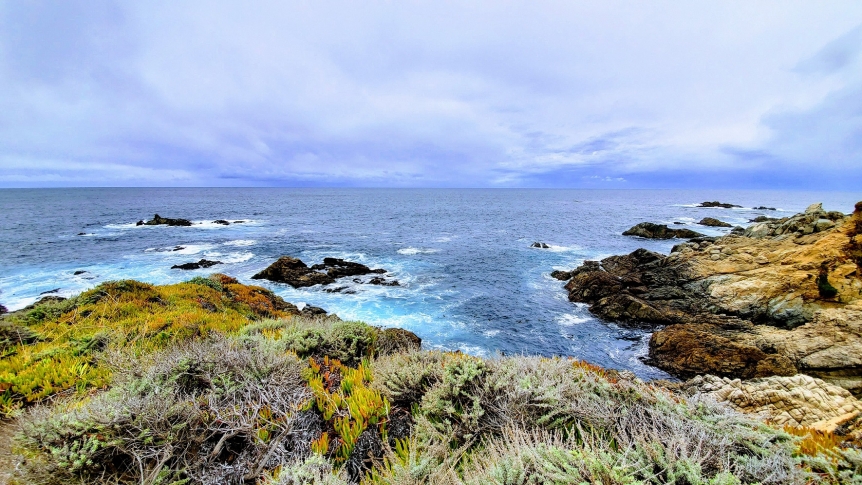 Overlooking the Monterey Bay