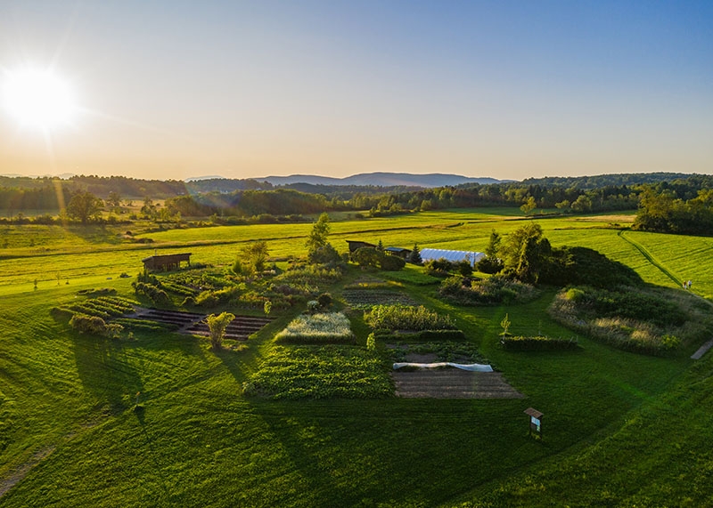 The College is developing agroforestry designs or a field plan for College-owned farmland pictured above, west of the College's education garden, the Knoll, off of Route 125. 