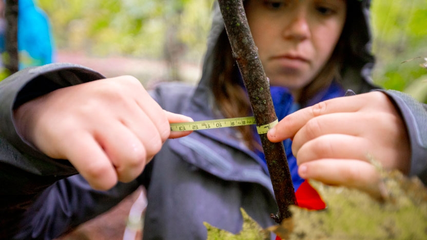 An environmental studies student takes measurements in the field.