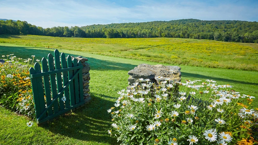 A view of the green summer fields on the Bread Loaf Writers' Conference campus.