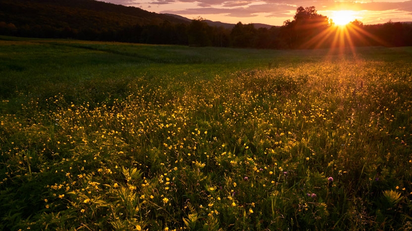 A view of Middlebury lands at sunset.