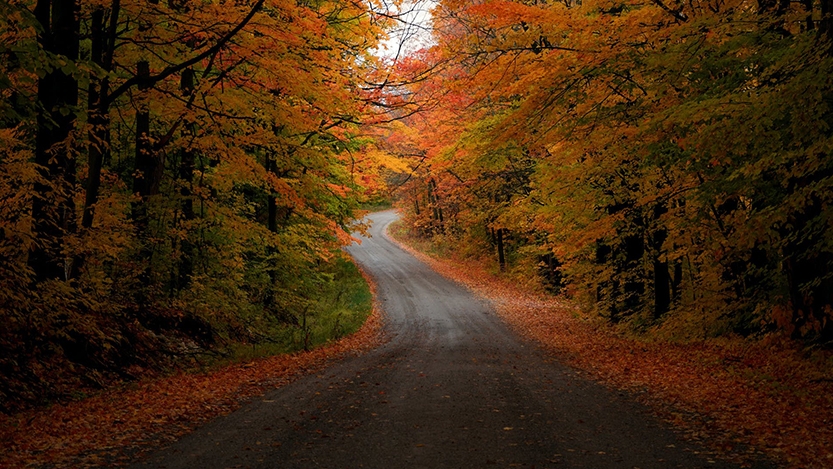 A small offshoot of Highway 74 — North Bingham Street — at the peak of fall foliage.