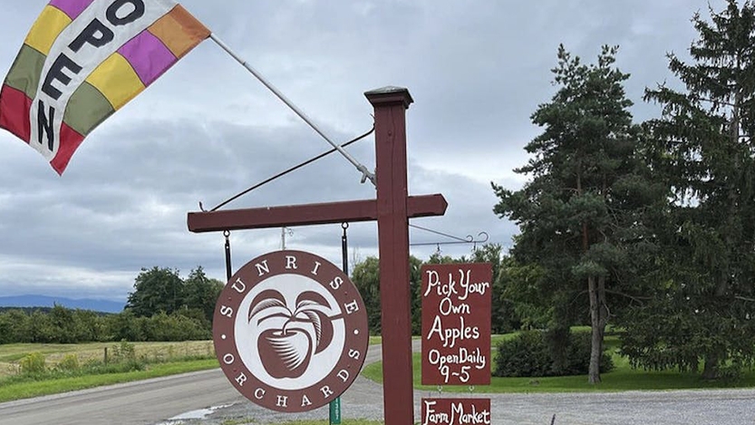 Sunrise Orchard's sign on Farm