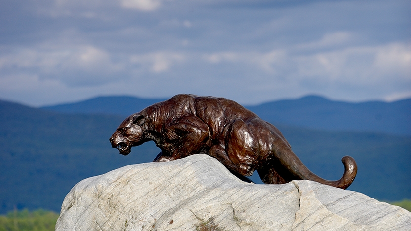 Middlebury Panther on Rock outside of Alumni Stadium