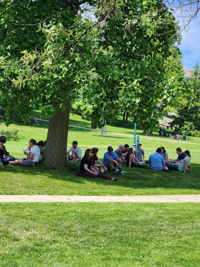 Employees sitting on the lawn under a tree for a bbq eating and talking 