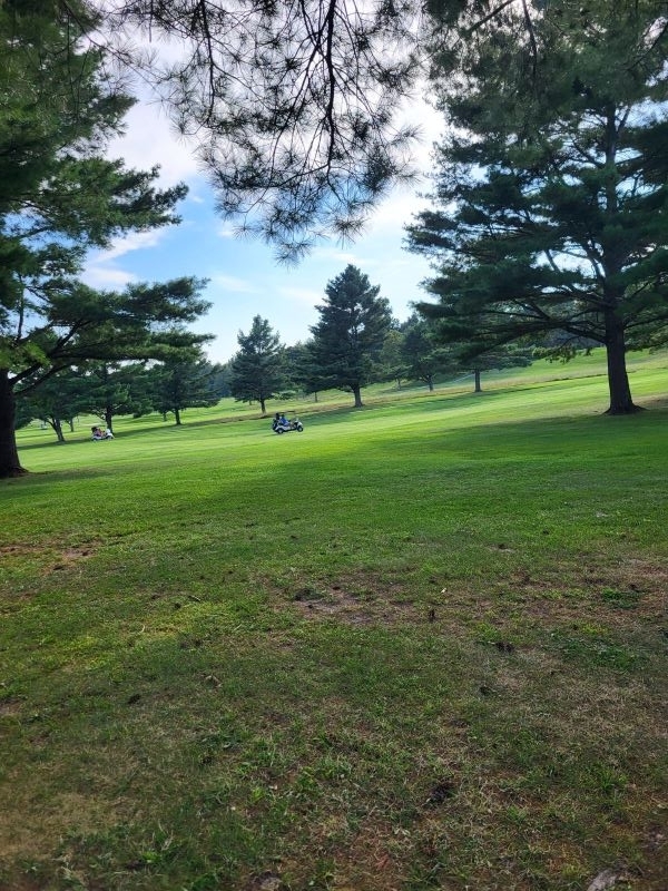 Colleagues standing together playing golf