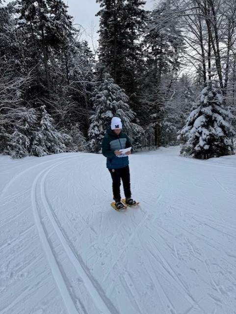 Picture of an employee on skis
