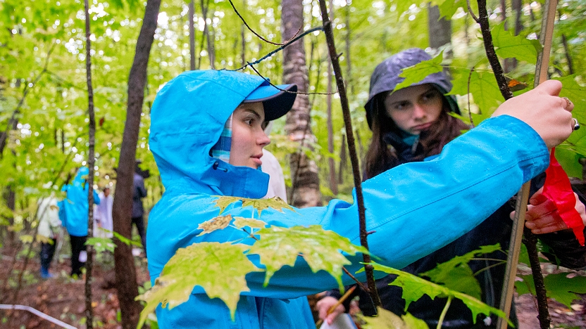 Forest research