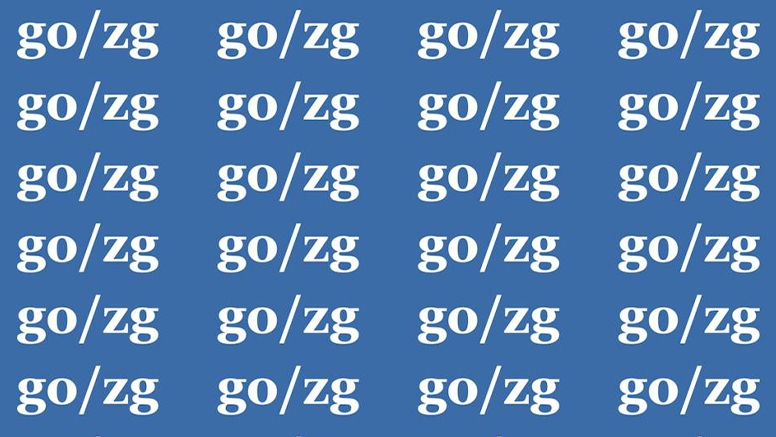 Blue graphic with text that reads go/zg