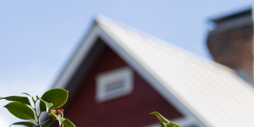 A photo of a red house with green leaves in front.