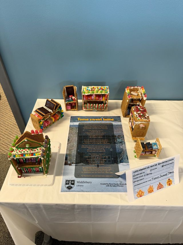 image of bookshelves made of candy and gingerbread