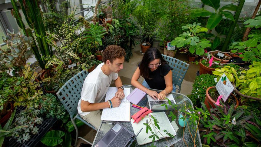 Students conduct research in Bi Hall's greenhouse