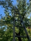Apple Picking Day 2022