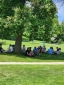 Employees sitting on the lawn under a tree for a bbq eating and talking