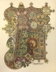 page from ornate illuminated manuscript