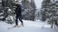 Students skiing in the backcountry of the Chic Choc Mountains in Quebec.