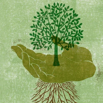 An illustration of a tree growing upwards from the palm of a hand with the roots growing beneth the hand.