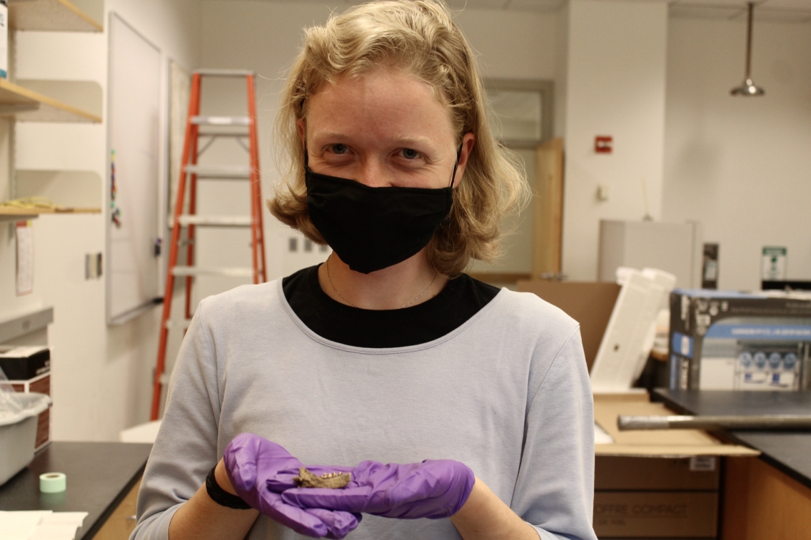 Olivia Olson holds a sea mink mandible in purple gloved hands 