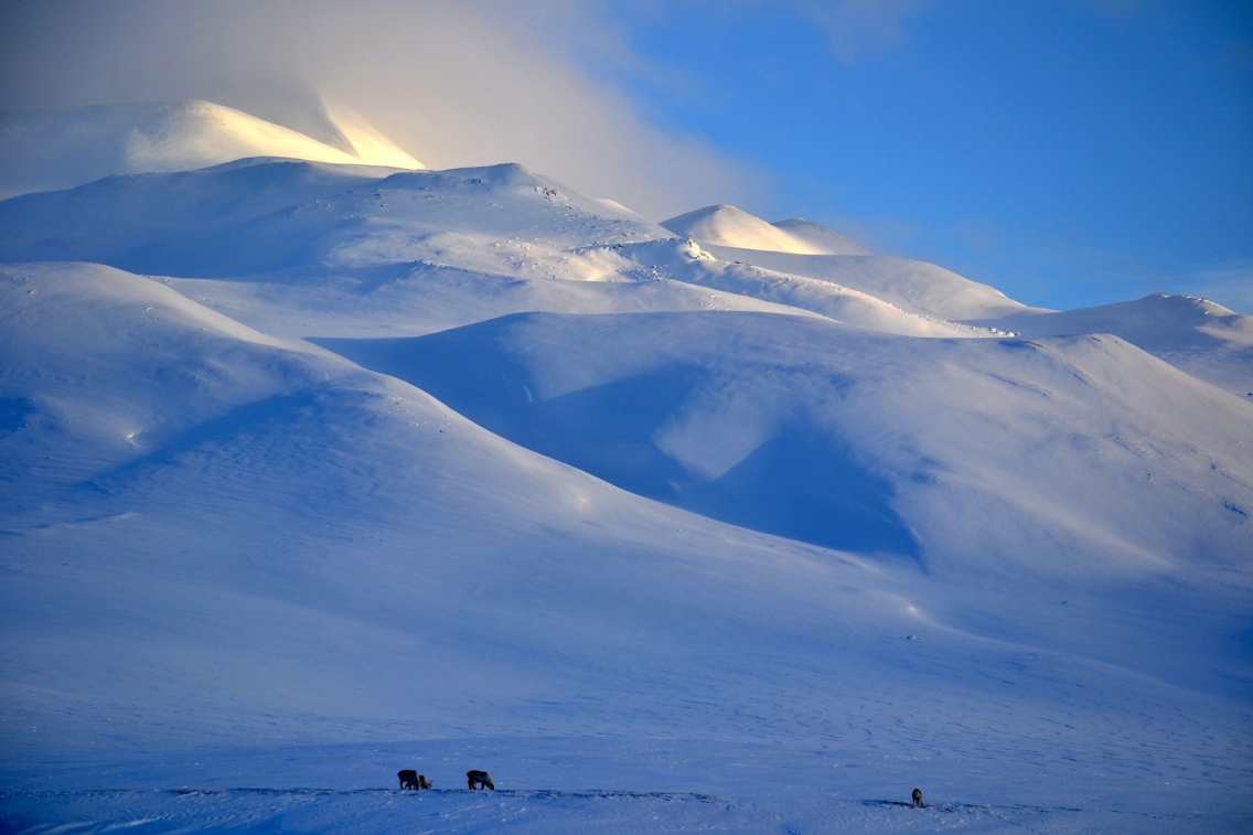 Hereafter, photo by Joel Wilner, Svalbard