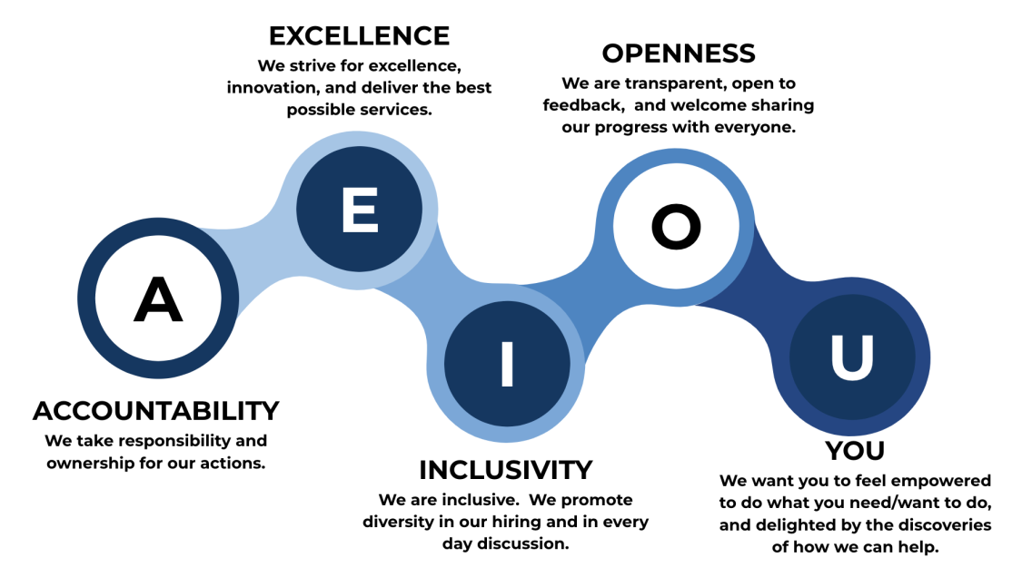 An infographics showing the A E I O U list of departmental values with their names and descriptions. The details can be found in the data table that follows.