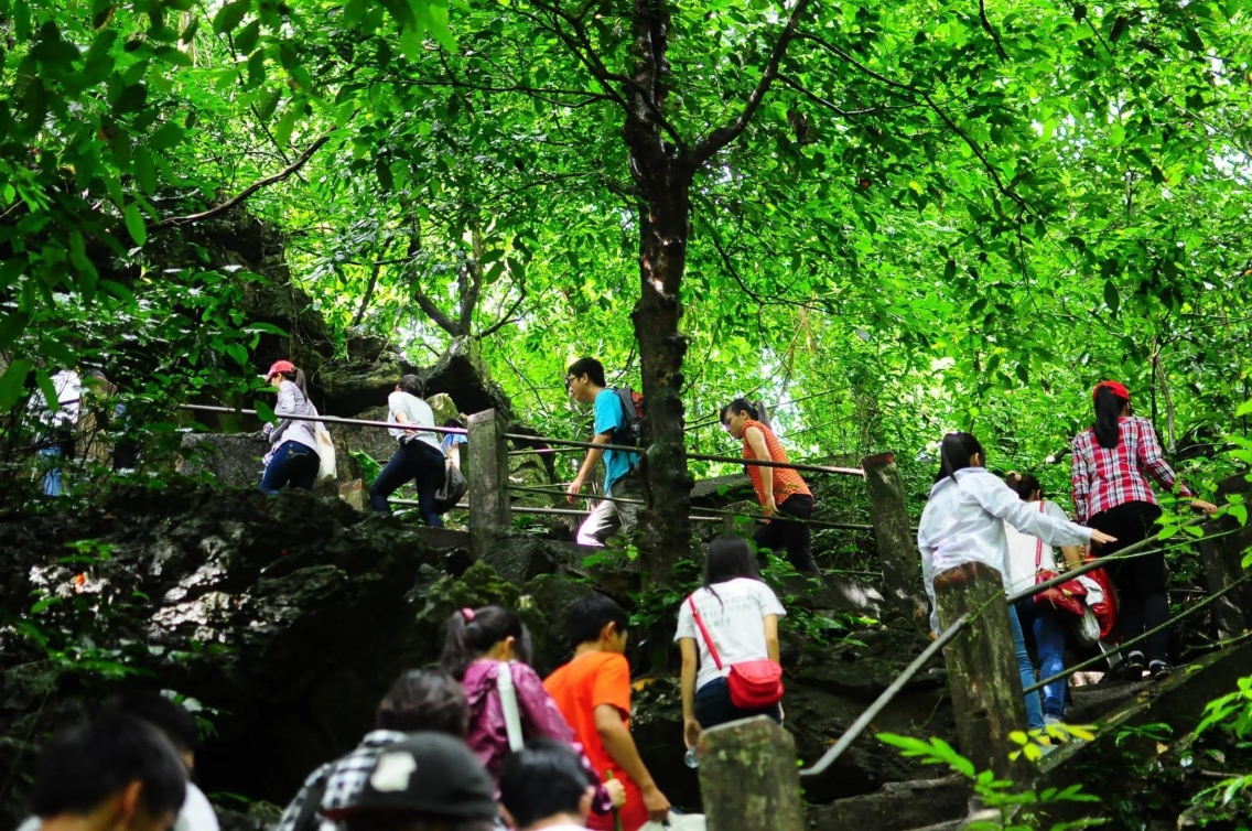 A group of mixed gender and age participants climb up a zig-zagging rainforest path underneath lush green treetops