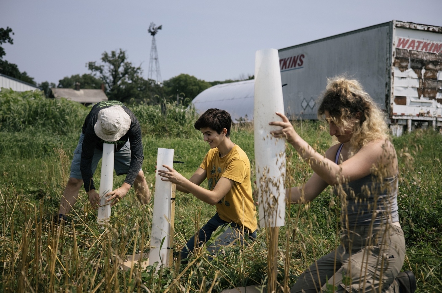 Three college-aged people kneel in tall grass as they place plastic protective coverings over small plant seedlings.