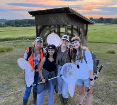 Summer Research Assistants with insect nets in a field at sunset