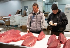 Steve Sclafani ’05 looking at the yield in his fish market