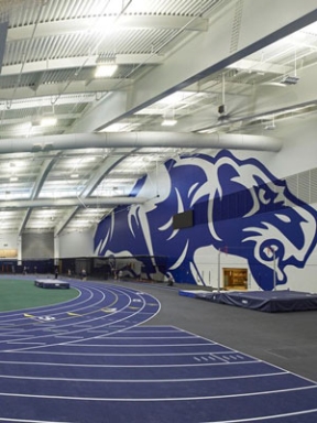 The giant panther mural in the Field House.