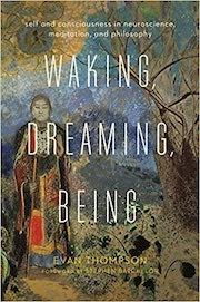 waking dreaming and being book cover with a figure standing in the background