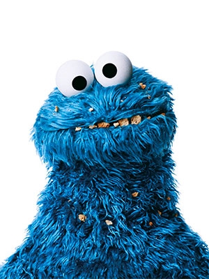 Portrait of the character Cookie Monster