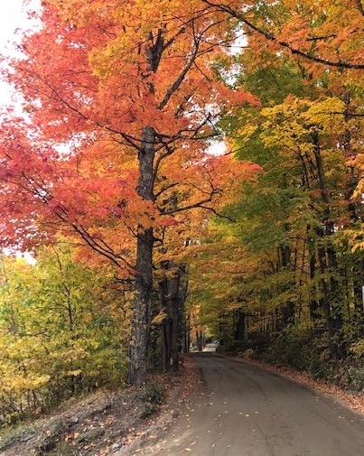 dirt road going uphill through orange, red, and yellow fall foliage
