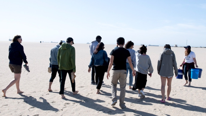 A group of students collect plastic washed up on a beach as part of a summer internship.