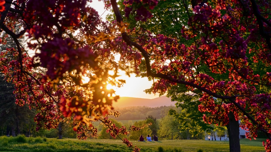 A view of the mountains at sunrise through maple trees in fall