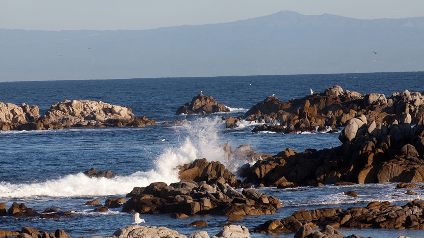 View of Monterey bay from the Middlebury institute in California.