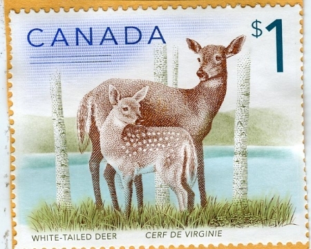 stamp from canada