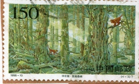 stamp from china