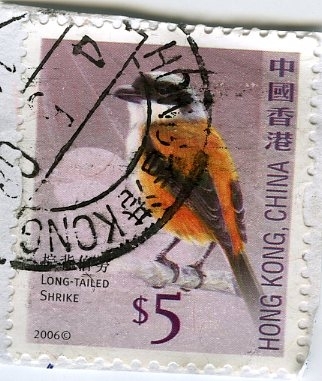 stamp from hong kong