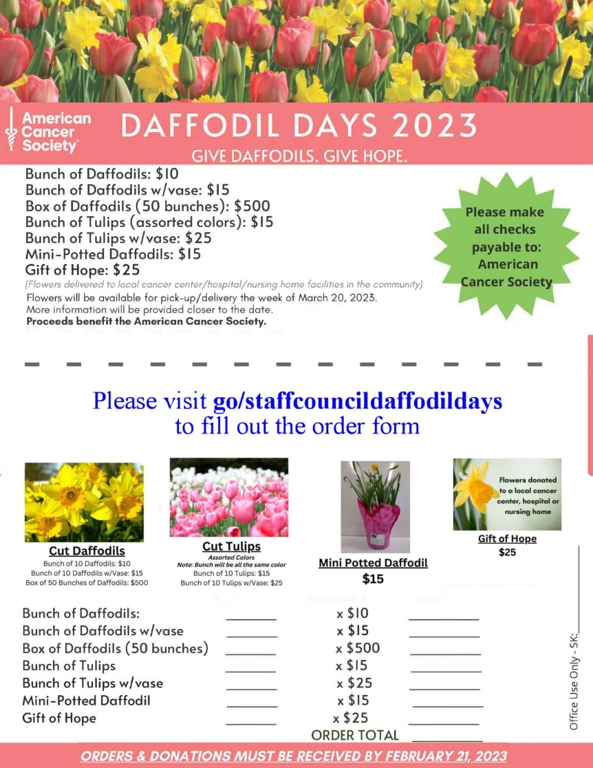 MSC Daffodil Days
