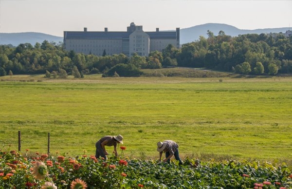 The Knoll at Middlebury College with Bicentennial Hall in the background.