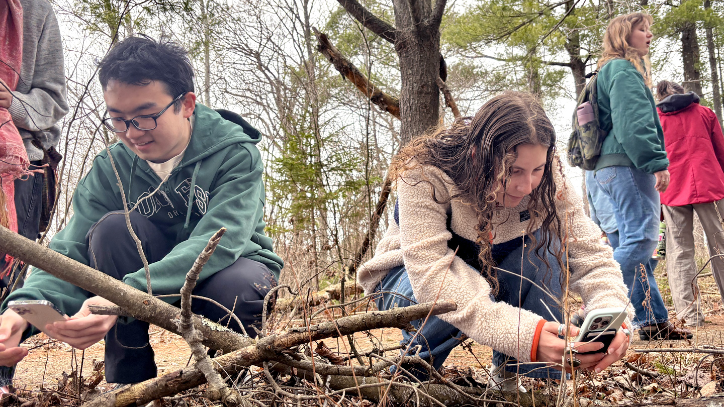 Students crouch down to examine fungi in a wooded area.
