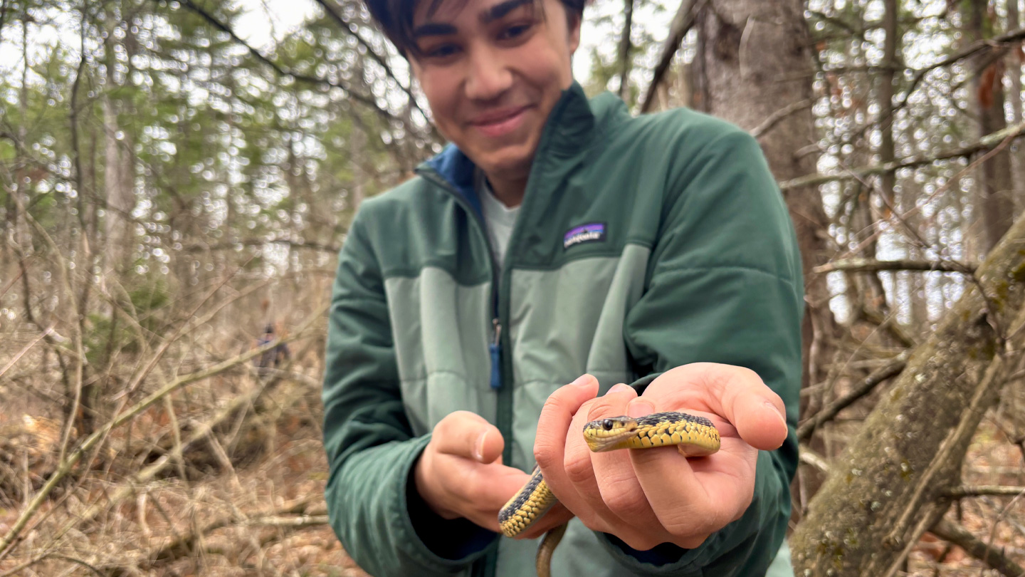 A student in the woods holds a garter snake in his hands