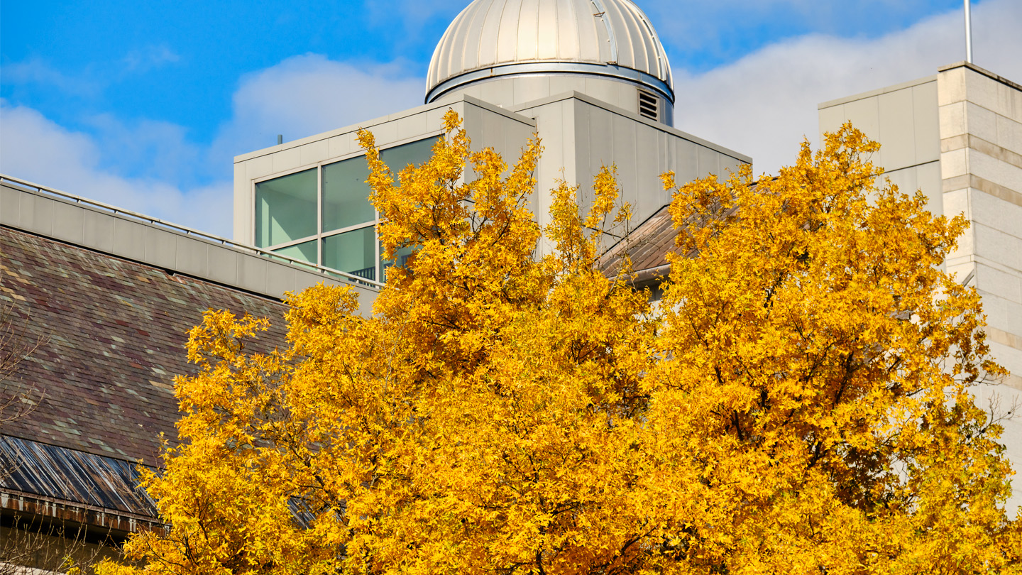 Bright yellow trees in front of the campus observatory.