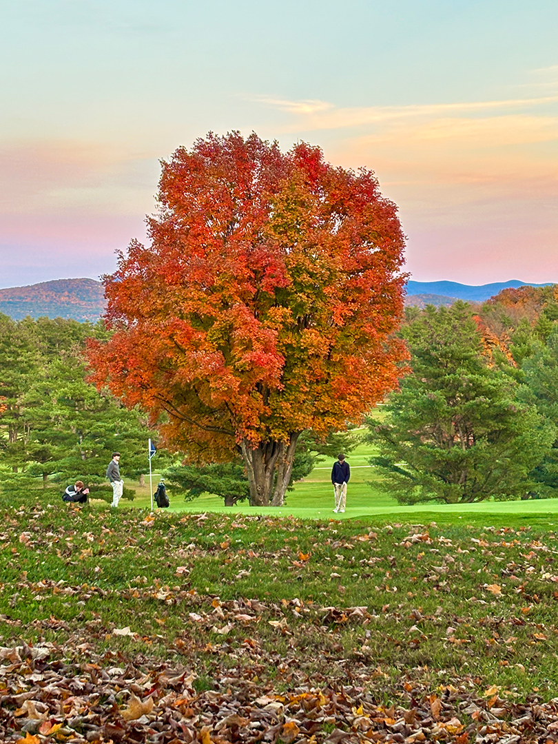 A brightly colored autumn tree on a golf course with mountains in the background. 