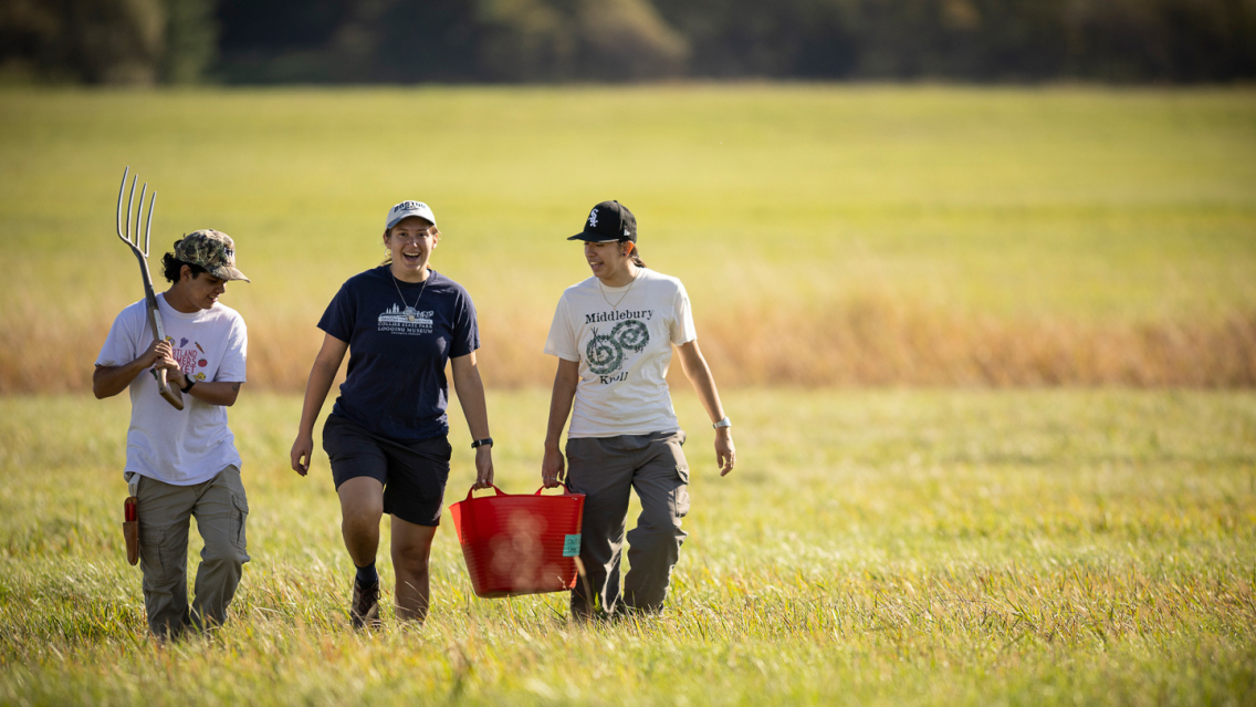 Three students walking at the Knoll