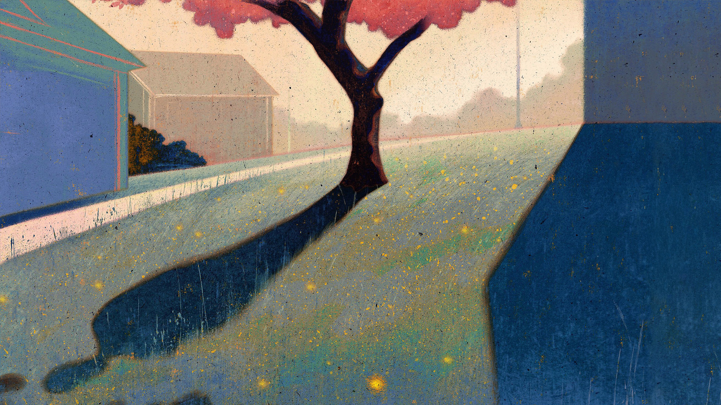 An illustration of a campus tree casting a human-shaped shadow. 