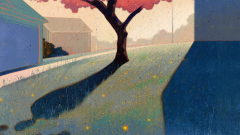 An illustration of a campus tree casting a human-shaped shadow. 