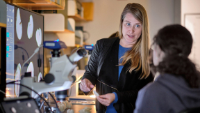 A professor speaks with a student in a science research lab.