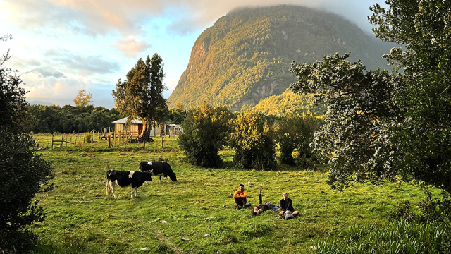 People sitting in a green field with cows nearby and mountains in the background.