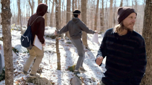 3 teens walking in the woods